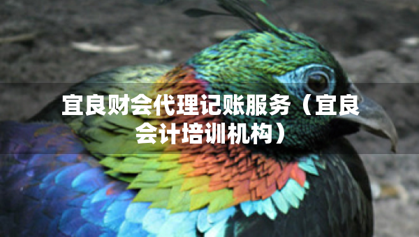 宜良財會代理記賬服務(wù)（宜良會計培訓(xùn)機構(gòu)）