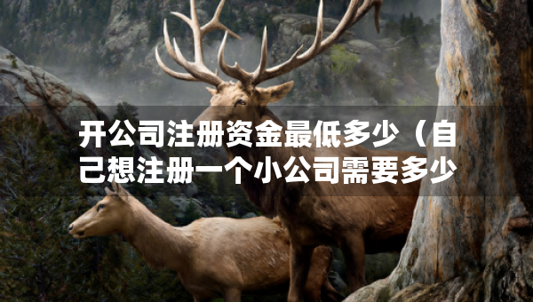 開(kāi)公司注冊(cè)資金最低多少（自己想注冊(cè)一個(gè)小公司需要多少錢(qián)）