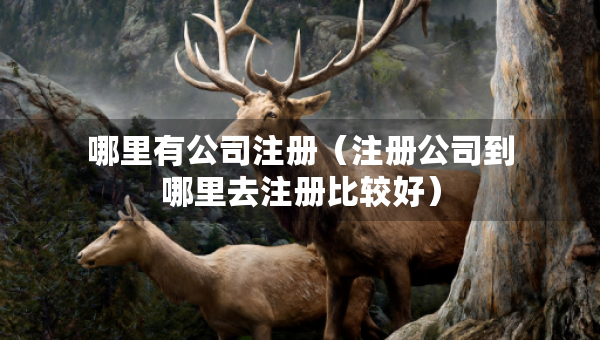 哪里有公司注冊（注冊公司到哪里去注冊比較好）