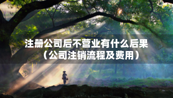 注冊公司后不營業(yè)有什么后果（公司注銷流程及費(fèi)用）