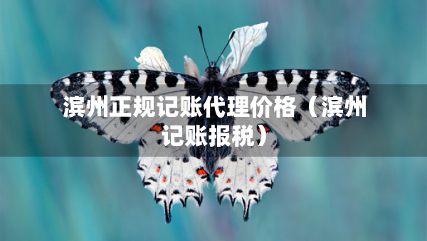 濱州正規(guī)記賬代理價(jià)格（濱州記賬報(bào)稅）