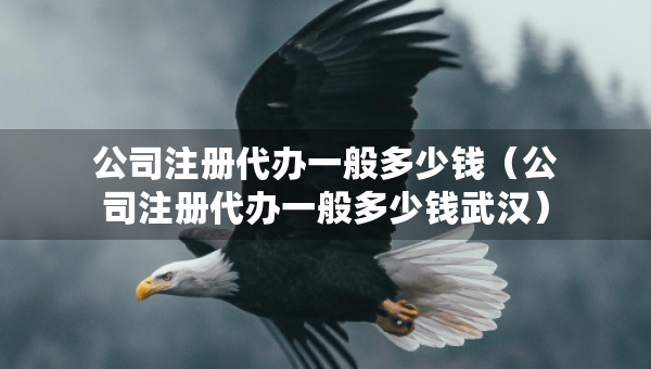 公司注冊代辦一般多少錢（公司注冊代辦一般多少錢武漢）