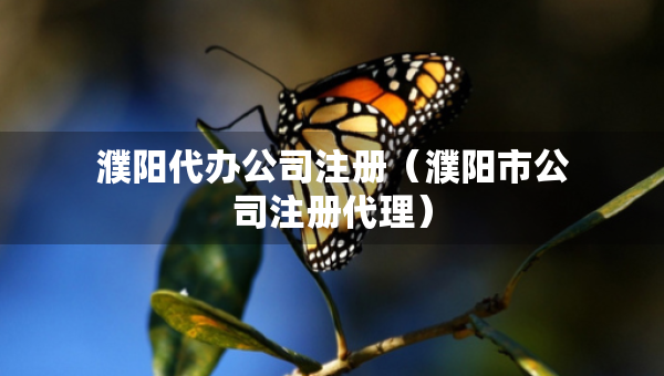 濮陽代辦公司注冊（濮陽市公司注冊代理）