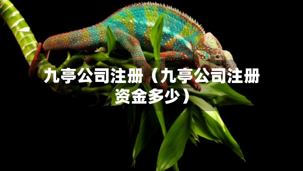 九亭公司注冊（九亭公司注冊資金多少）