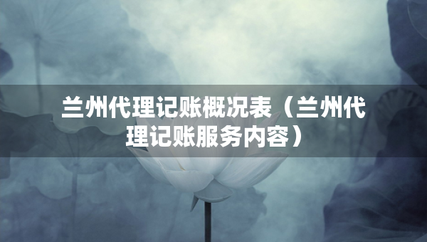 蘭州代理記賬概況表（蘭州代理記賬服務(wù)內(nèi)容）