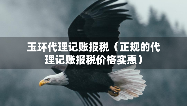 玉環(huán)代理記賬報稅（正規(guī)的代理記賬報稅價格實(shí)惠）