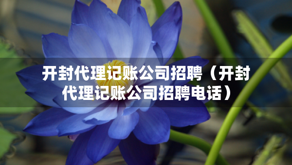 開(kāi)封代理記賬公司招聘（開(kāi)封代理記賬公司招聘電話）