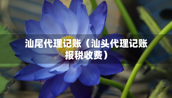 汕尾代理記賬（汕頭代理記賬報(bào)稅收費(fèi)）