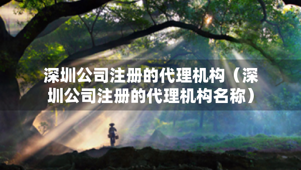 深圳公司注冊的代理機構(gòu)（深圳公司注冊的代理機構(gòu)名稱）