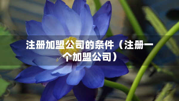 注冊加盟公司的條件（注冊一個加盟公司）