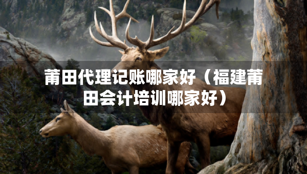 莆田代理記賬哪家好（福建莆田會計(jì)培訓(xùn)哪家好）