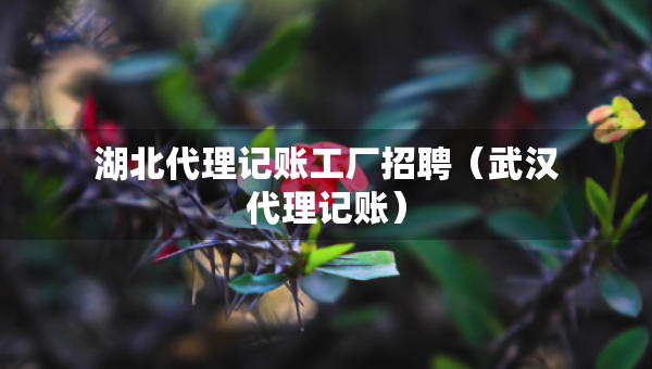 湖北代理記賬工廠招聘（武漢代理記賬）