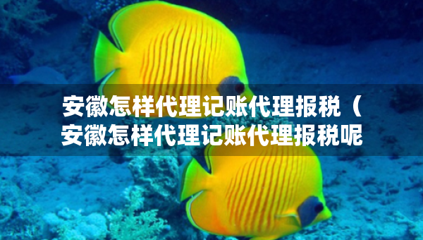 安徽怎樣代理記賬代理報稅（安徽怎樣代理記賬代理報稅呢）