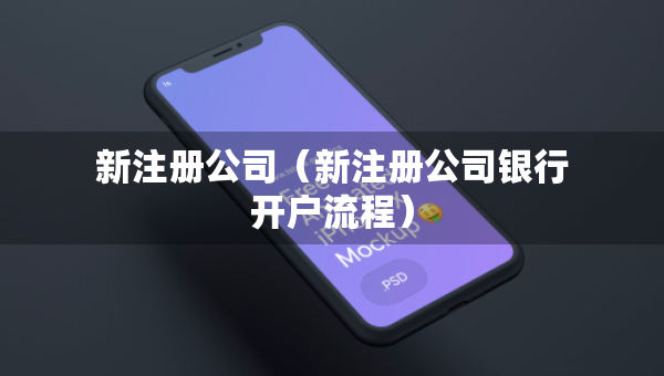 新注冊公司（新注冊公司銀行開戶流程）