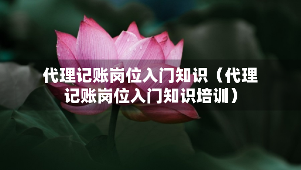 代理記賬崗位入門知識(shí)（代理記賬崗位入門知識(shí)培訓(xùn)）