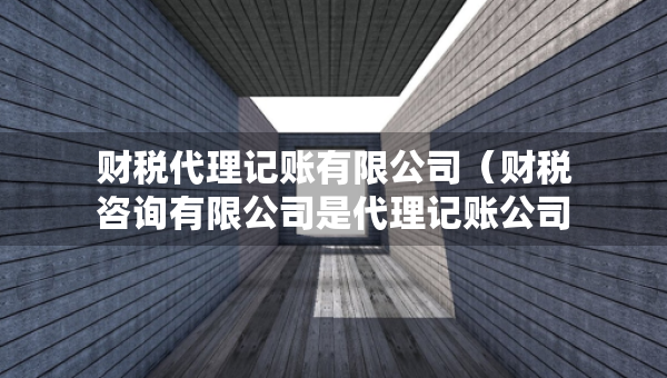 財稅代理記賬有限公司（財稅咨詢有限公司是代理記賬公司嗎）