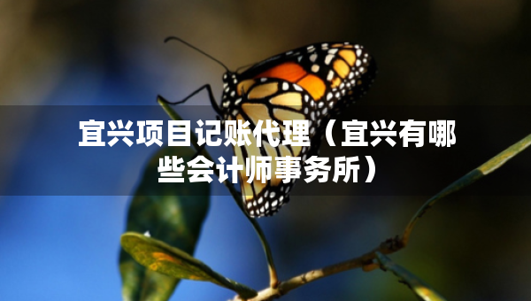 宜興項目記賬代理（宜興有哪些會計師事務所）