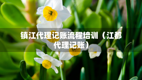 鎮(zhèn)江代理記賬流程培訓(xùn)（江都代理記賬）