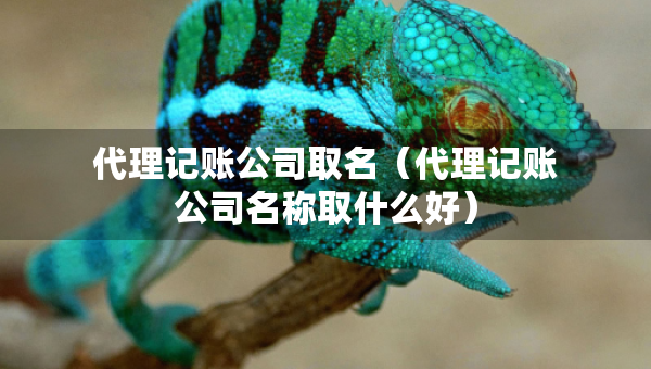 代理記賬公司取名（代理記賬公司名稱取什么好）