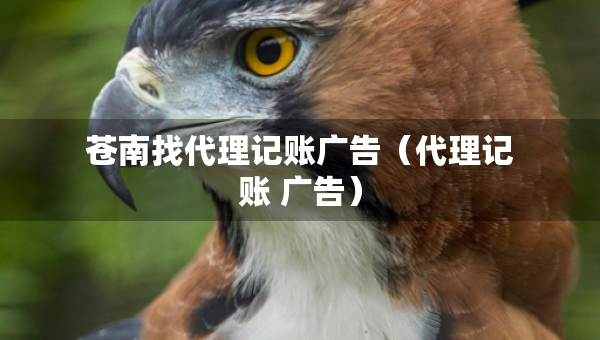 蒼南找代理記賬廣告（代理記賬 廣告）