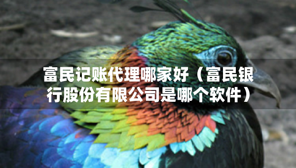 富民記賬代理哪家好（富民銀行股份有限公司是哪個軟件）