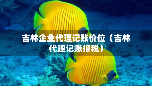 吉林企業(yè)代理記賬價位（吉林代理記賬報稅）