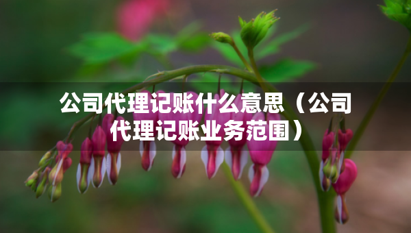 公司代理記賬什么意思（公司代理記賬業(yè)務(wù)范圍）