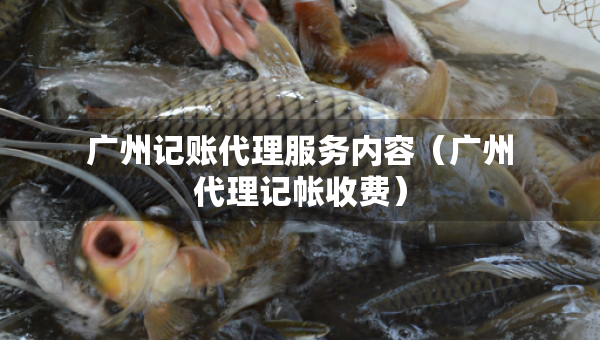 廣州記賬代理服務(wù)內(nèi)容（廣州代理記帳收費(fèi)）