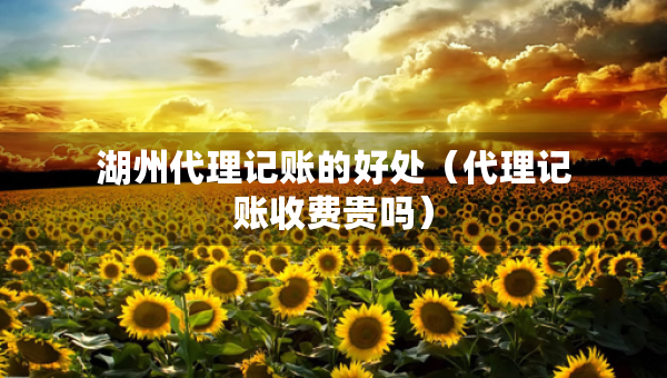 湖州代理記賬的好處（代理記賬收費貴嗎）