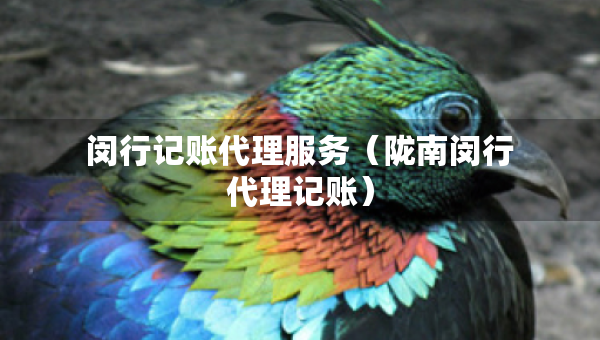 閔行記賬代理服務（隴南閔行代理記賬）