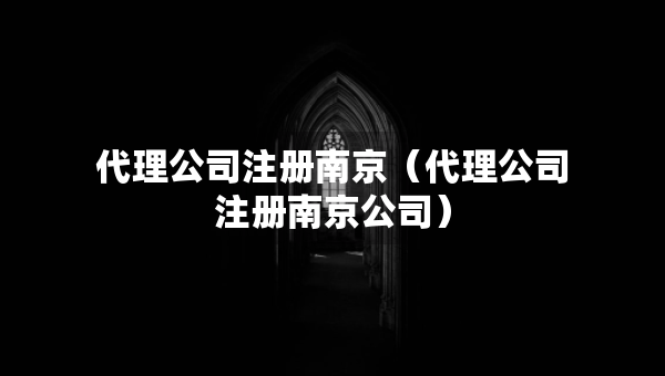 代理公司注冊(cè)南京（代理公司注冊(cè)南京公司）