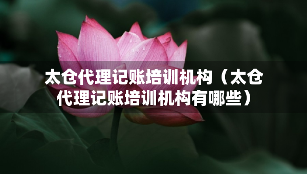 太倉代理記賬培訓(xùn)機(jī)構(gòu)（太倉代理記賬培訓(xùn)機(jī)構(gòu)有哪些）