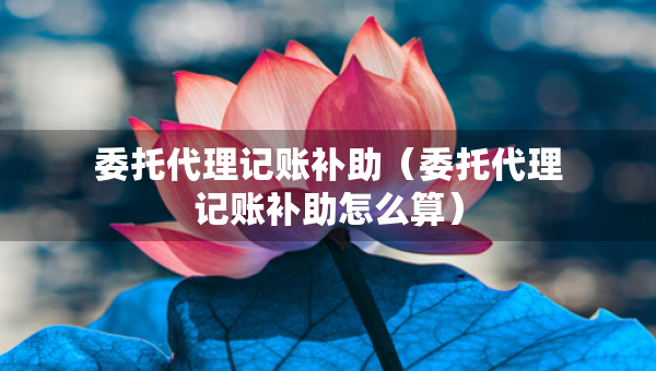 委托代理記賬補助（委托代理記賬補助怎么算）