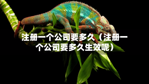 注冊一個公司要多久（注冊一個公司要多久生效呢）
