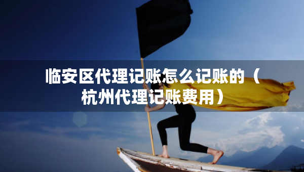 臨安區(qū)代理記賬怎么記賬的（杭州代理記賬費(fèi)用）