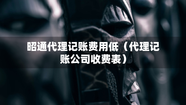 昭通代理記賬費(fèi)用低（代理記賬公司收費(fèi)表）