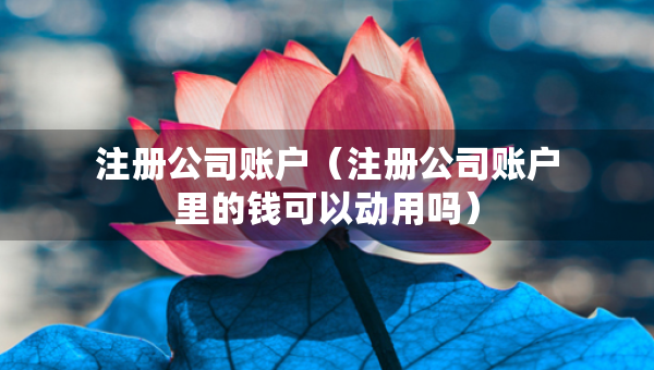 注冊(cè)公司賬戶（注冊(cè)公司賬戶里的錢可以動(dòng)用嗎）