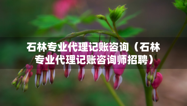 石林專業(yè)代理記賬咨詢（石林專業(yè)代理記賬咨詢師招聘）