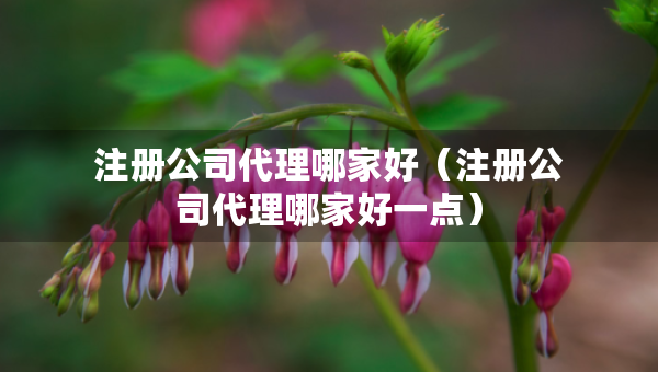 注冊公司代理哪家好（注冊公司代理哪家好一點）