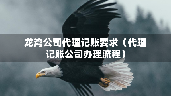 龍灣公司代理記賬要求（代理記賬公司辦理流程）
