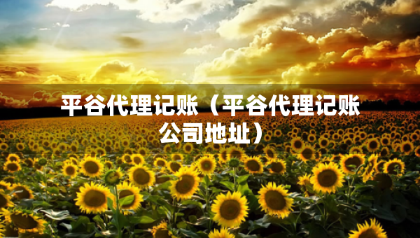 平谷代理記賬（平谷代理記賬公司地址）