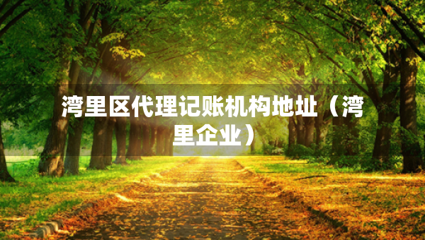 灣里區(qū)代理記賬機構(gòu)地址（灣里企業(yè)）