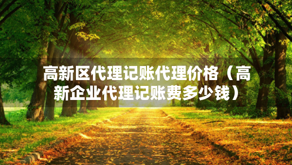 高新區(qū)代理記賬代理價(jià)格（高新企業(yè)代理記賬費(fèi)多少錢）