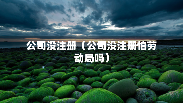 公司沒注冊（公司沒注冊怕勞動局嗎）