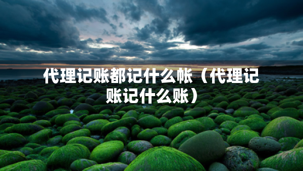 代理記賬都記什么帳（代理記賬記什么賬）