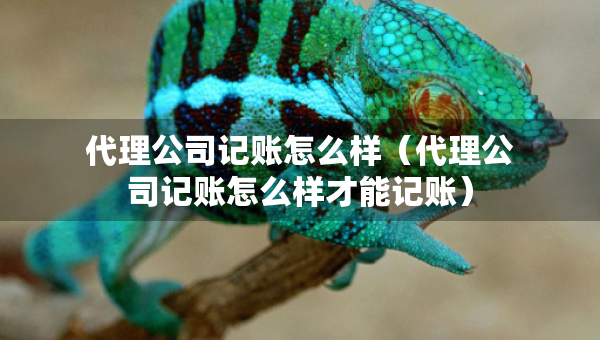 代理公司記賬怎么樣（代理公司記賬怎么樣才能記賬）