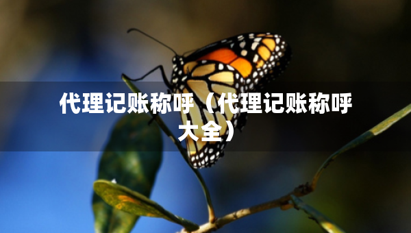 代理記賬稱(chēng)呼（代理記賬稱(chēng)呼大全）