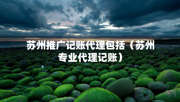 蘇州推廣記賬代理包括（蘇州專業(yè)代理記賬）