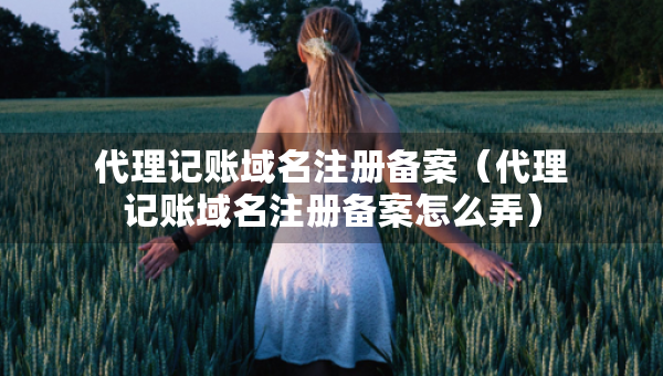 代理記賬域名注冊(cè)備案（代理記賬域名注冊(cè)備案怎么弄）