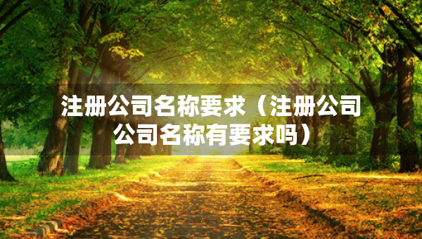 注冊公司名稱要求（注冊公司公司名稱有要求嗎）